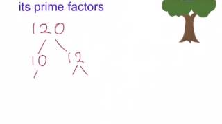 How to write a number as a product of its prime factors [upl. by Vookles634]