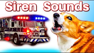 Fire Siren for Dogs [upl. by Mabelle]