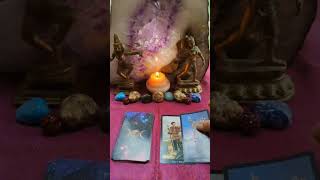 Dm For Help 💯tarotcards astrology love manifest soulmate twinflame zodiac fyp usa youtube [upl. by Pallua265]