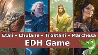 Etali vs Chulane vs Trostani vs Marchesa EDH  CMDR game play for Magic The Gathering [upl. by Hurless296]