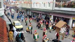 Furtwangen Fasnet 2014  Sonntagsumzug [upl. by Strage165]