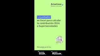 🚨Liquidador en Excel para calcular la contribución 2024 a Supersociedades [upl. by Heer898]