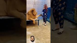 Main Saqib lion tiger animals zoo funny youtube viralvideo pets tamed wildlife mufasa [upl. by Pros311]