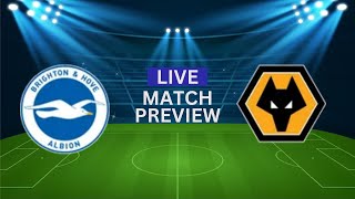 BRIGHTON VS WOLVES EFL 20242025 MATCH PREVIEW AND PREDICTION [upl. by Theresa]