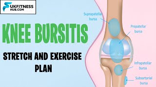 Knee Bursitis Stretches and Exercises Plan Pes Anserine Prepatellar Suprapatellar Infrapatellar [upl. by Anitnatsnoc]