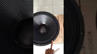 SOLD SPEAKER RDW 18 LS 1000 DIAMBIL OLEH MAS AGUS DARI SUKAJADI LAMPUNG TENGAH [upl. by Rask223]