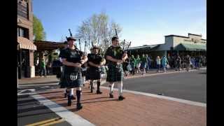 Arroyo Grande California Finnegans Wake Parade 2014 [upl. by Janka]