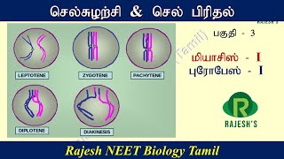 செல் சுழற்சி மற்றும் செல் பிரிதல்  மியாசிஸ் cell cycle and cell division meiosis I [upl. by Atiuqehc]