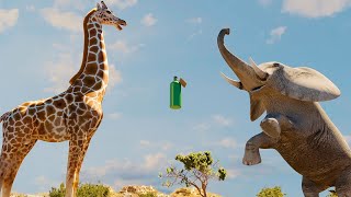 Elephant vs Giraffe Water Bottle Fight [upl. by Eciryt]