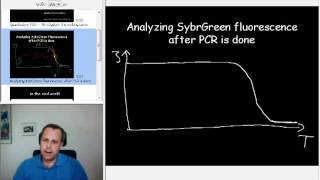 7Quantitative PCR  the melting curve [upl. by Asereht384]