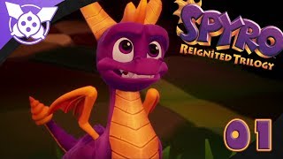 Knights Redécouverte et radotage  SPYRO REIGNITED TRILOGY 01 [upl. by Nairda287]