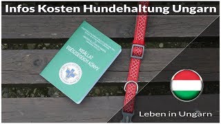 Infos zu Kosten Hundehaltung Ungarn  Leben in Ungarn [upl. by Ahsienor]