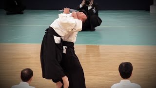 Daitoryu Aikijujutsu  39th Kobudo Demonstration Nippon Budokan 2016 [upl. by Allsopp]