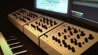 Oberheim SEM Four Voice Custom Setup [upl. by Iahs]