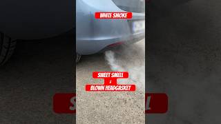 White smoke from exhaust whitesmoke bmw opel shevrolet kia maintenance diy shorts [upl. by Ahsille201]