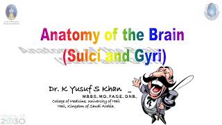 Anatomy of Cerebrum  Dr Yusuf [upl. by Hild]