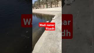 Part3 Wadi namar the most beautiful placeriyadhshortslovetravelsaudiarebiaplzz subscribe [upl. by Chapin545]