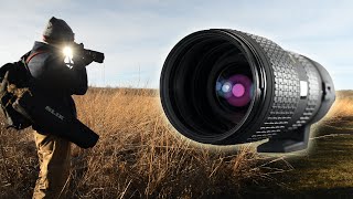 Sigma 100300mm f4 APO For Nikon Photo Excursion and Review [upl. by Benge266]