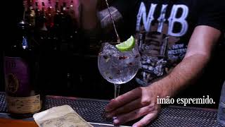 Gin Tônica com Especiarias Nib Gin [upl. by Childers]