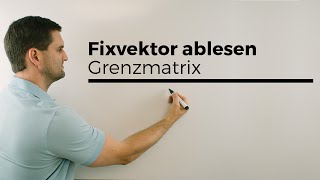 Fixvektor an Grenzmatrix ablesen stabiler Vektor stationäre Verteilung  Mathe by Daniel Jung [upl. by Knick]