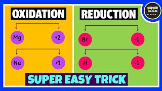 Oxidation and Reduction Reactions [upl. by Auof289]