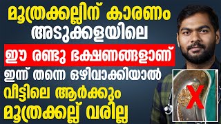 ലക്ഷണം കാണുമ്പോൾ ഈ ചെടി വെള്ളത്തിലിട്ട് കുടിച്ചാൽ മൂത്രക്കല്ലിനെ വേദനയില്ലാതെ പുറത്തെത്തിക്കാം [upl. by Ydne62]