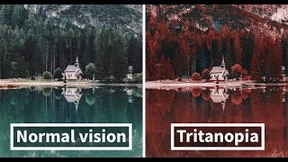 Here’s How Colorblind People With Tritanopia See The World [upl. by Aihsit]