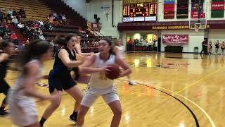 Gannon Womens Basketball Daemen College Highlights 112818 [upl. by Helfant654]