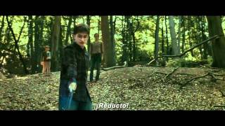 Harry Potter Y Las Reliquias De La Muerte Parte 2  Clip quotDonde Lo Dejamosquot Subtitulado  FULL HD [upl. by Annecorinne807]