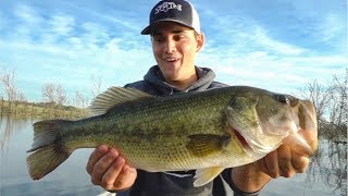 Catching BIG Summer Bass [upl. by Aicinod]