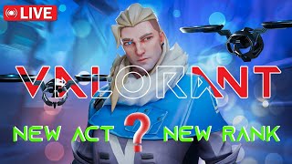 🔴 New ACT and New Agent VYSE is Here  Valorant live INDIA  ZaGreD2002 [upl. by Charpentier861]