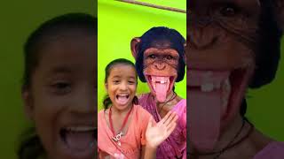 bandar mama pahan pajama🙈🙈🙈 monkey funny video 😝😝😝 [upl. by Esinehs]