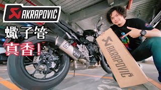 【重機動嘴說】真香注意！Akrapovic 蠍子管開箱，CB1000R 原廠聲浪差異比較 [upl. by Zwick846]