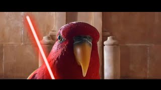 Red bird meme  Star Wars Episode 01  The Red Parrot Menance [upl. by Ereynihc]