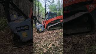 CUT MULCH AND MOW WITH BAUMALIGHT baumalight skidsteer [upl. by Gurias]