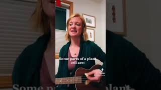 Classical Conversations Cycle 1 Week 4 Science Song with ukulele accompaniment [upl. by Nace]