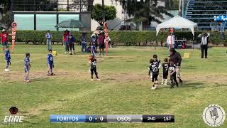 Toritos VS Osos Toluca [upl. by Nomelihp]