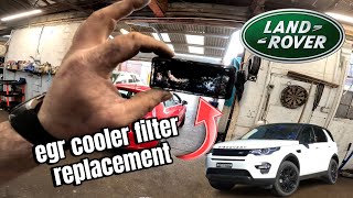 landrover discovery 20d Ingenium egr cooler filter replacement while fitting new dpf [upl. by Calvin829]