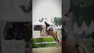 horse chevalpassion equestrian horseriding equestrain chevaux showjumping [upl. by Jerold]