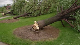 Hail storm knocks down trees damages car in Highlands Ranch [upl. by Benjamen410]