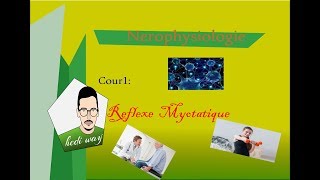 01 Le Reflexe myotatique  Neurophysiologie Bac Tunisie [upl. by Whitcomb]