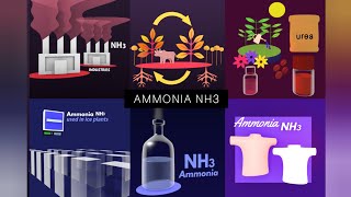 Ammonia NH3 PLAY Chemistry [upl. by Nomael417]