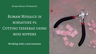 Cutting tesserae using small pincers [upl. by Zachery]