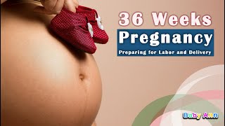 Week 36 of Pregnancy Preparing for Labor and Delivery  36 Weeks Pregnant  What to Expect [upl. by Sarilda]