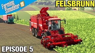 Farming Simulator 19 Timelapse  Felsbrunn FS19 Episode 5 [upl. by Eiralam]