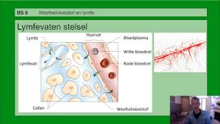 Basisstof 8 Weefselvloeistof en lymfe [upl. by Meela]