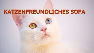 Katzenfreundliches Sofa 2024 [upl. by Nine174]