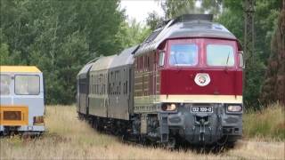 132 109 und 670 003 in Ferropolis [upl. by Noicpesnoc]