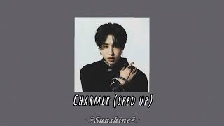 Stray Kids  Charmer sped up [upl. by Niwhsa]