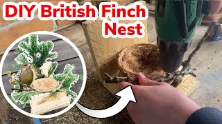 DIY British Finch Nests  Greenfinches Bullfinches Crossbills [upl. by Ailedamla]